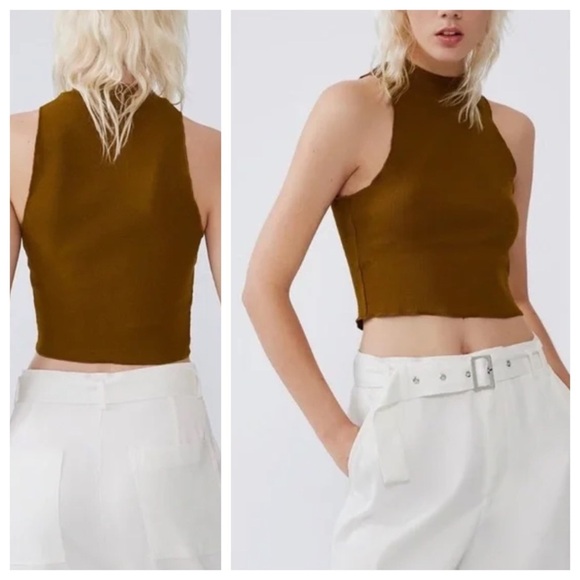 Zara Tops - Zara high neck halter sleeveless crop top brown